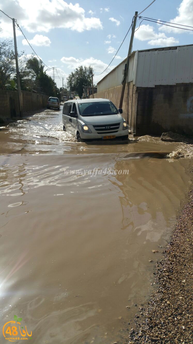 dahmash raeinina (2).jpg